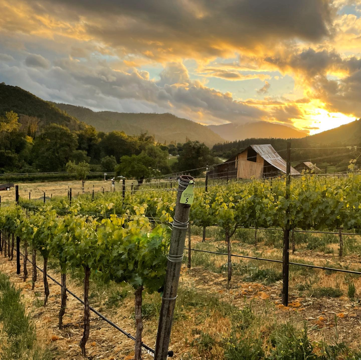 A new tasting room is in the works at Crooked Barn Vineyard where they grows grapes and crafts wine from Bordeaux varietals in the Applegate Valley.