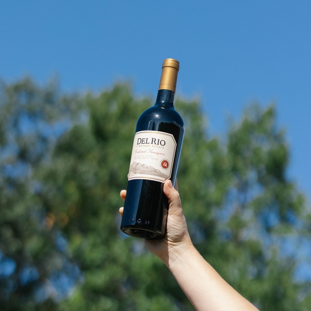 Del Rio Vineyard Estate's 2019 Del Rio Estate Cabernet Sauvignon has been chosen as one of the prestigious Wine Enthusiast’s Top 100 Cellar Selections.
