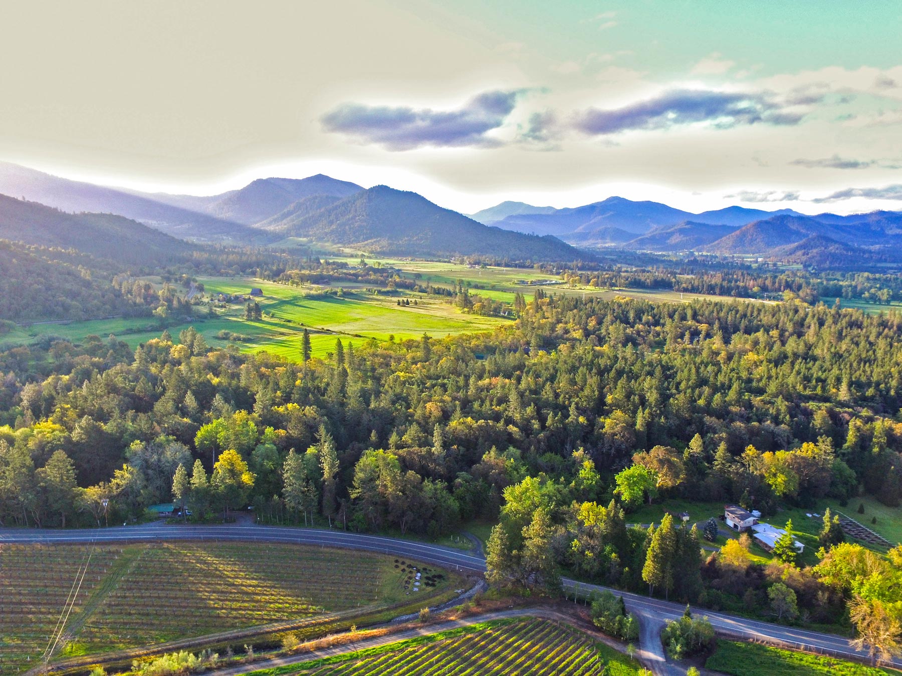 Neither like Napa or our neighbors to the North, Rogue Valley Wine Country is a unique appellation receiving high accolades for  excepation wines and diverse varietals.