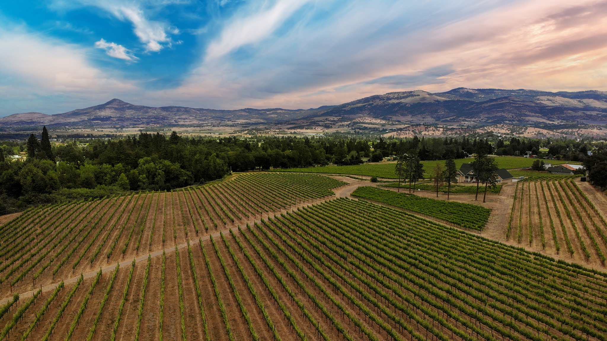 Rogue Valley Wine Country reporter Trish Glose caught up with Wyatt Hammon at the StoneRiver Vineyards in Talent to talk about plans for the future.